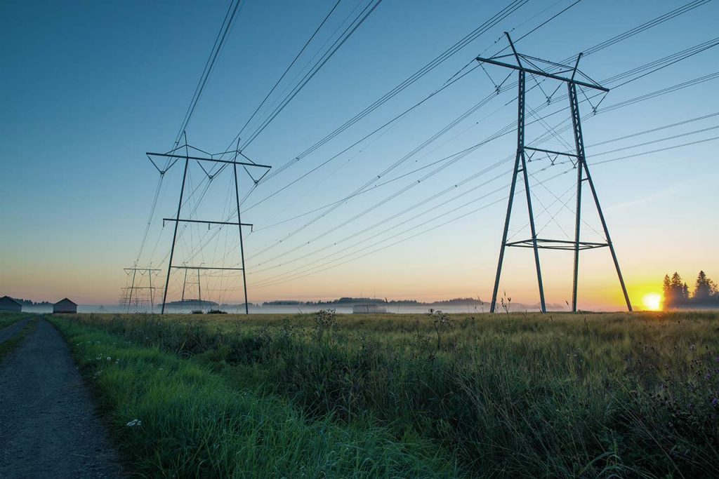 Two power line poles standing over a field in the evening sunlight.