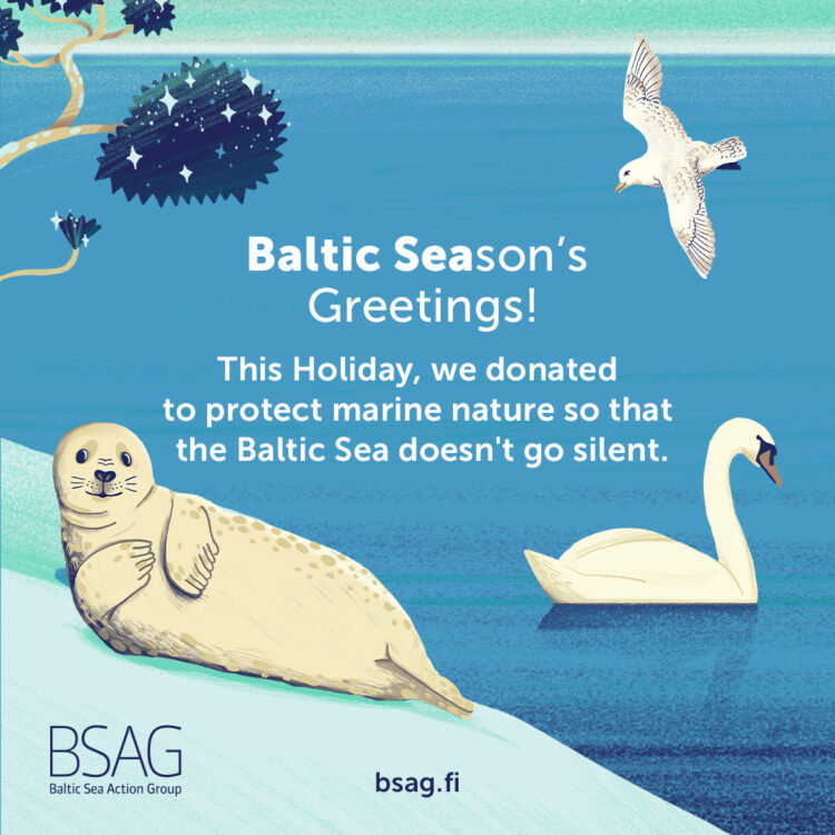 The image features a seagull, a swan, and a seal by the Baltic Sea shoreline, with the text: Baltic Season's Greetings! This Holiday, we donated to protect marine nature so that the Baltic Sea doesn't go silent, Baltic Sea Action Group BSAG - bsag.fi